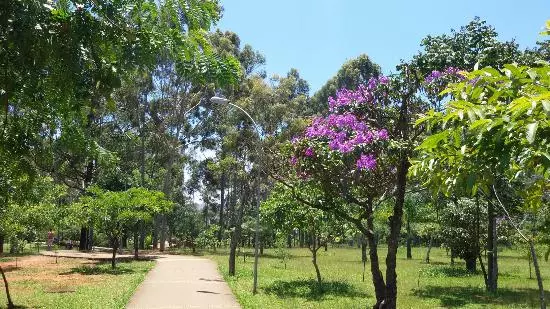 Vibra Estação vila Prudente